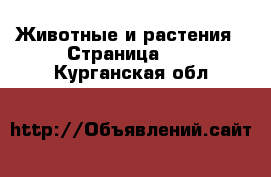  Животные и растения - Страница 11 . Курганская обл.